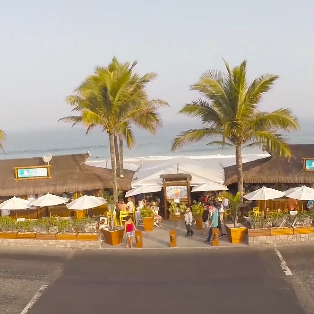 quiosque cavalo marinho blend